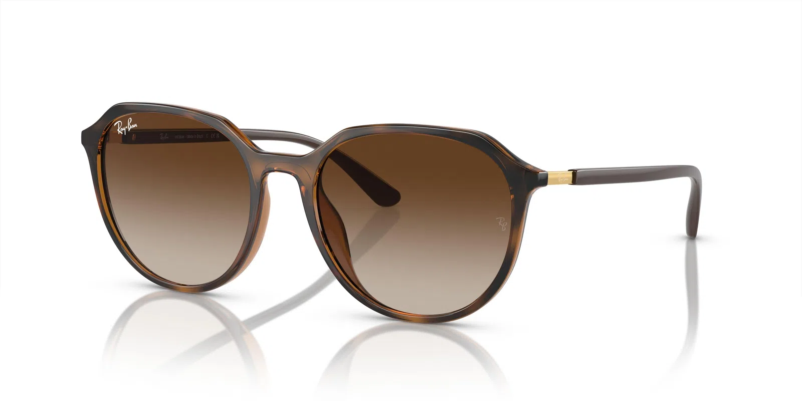 Ray-Ban 4415L Sunglasses - view 9